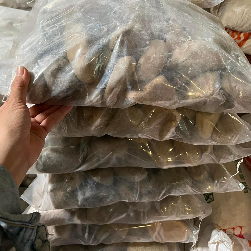 [TỔNG HỢP] 1KG Sỏi, Đá, Cát Trang Trí Hồ Cá, Bể Cá Thuỷ Sinh