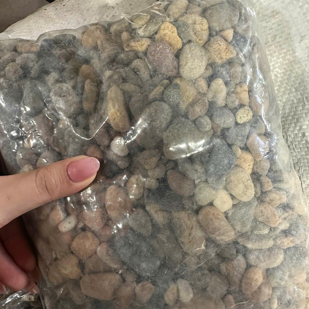 [TỔNG HỢP] 1KG Sỏi, Đá, Cát Trang Trí Hồ Cá, Bể Cá Thuỷ Sinh