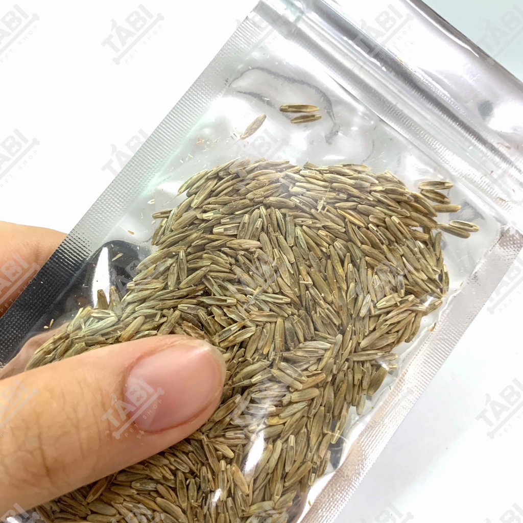 Hạt giống thủy sinh cho hồ cá - Hạt giống trân châu, có trái tim, cỏ may mắn, ngưu mao chiên 10G/ Túi