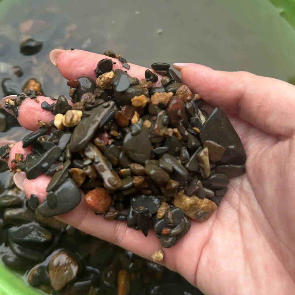 [TỔNG HỢP] 1KG Sỏi, Đá, Cát Trang Trí Hồ Cá, Bể Cá Thuỷ Sinh