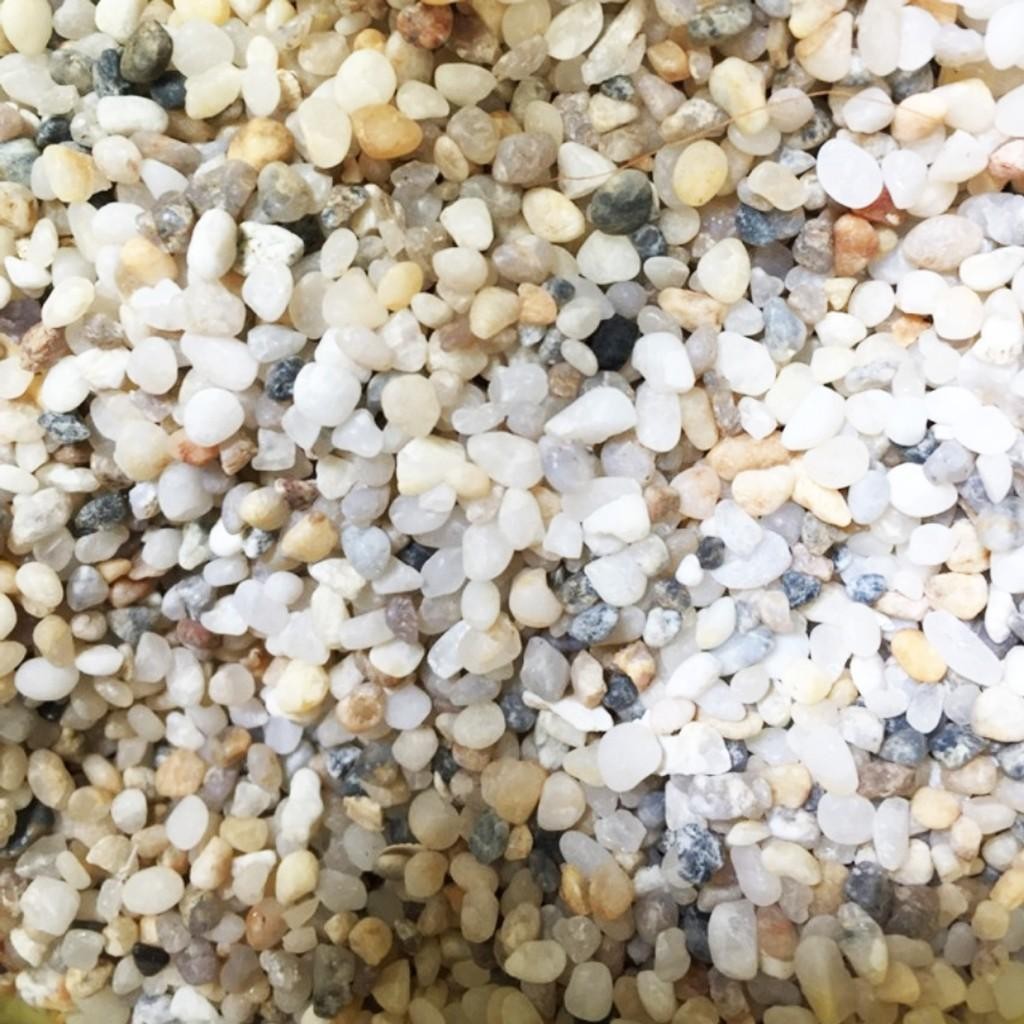 [TỔNG HỢP] 1KG Sỏi, Đá, Cát Trang Trí Hồ Cá, Bể Cá Thuỷ Sinh