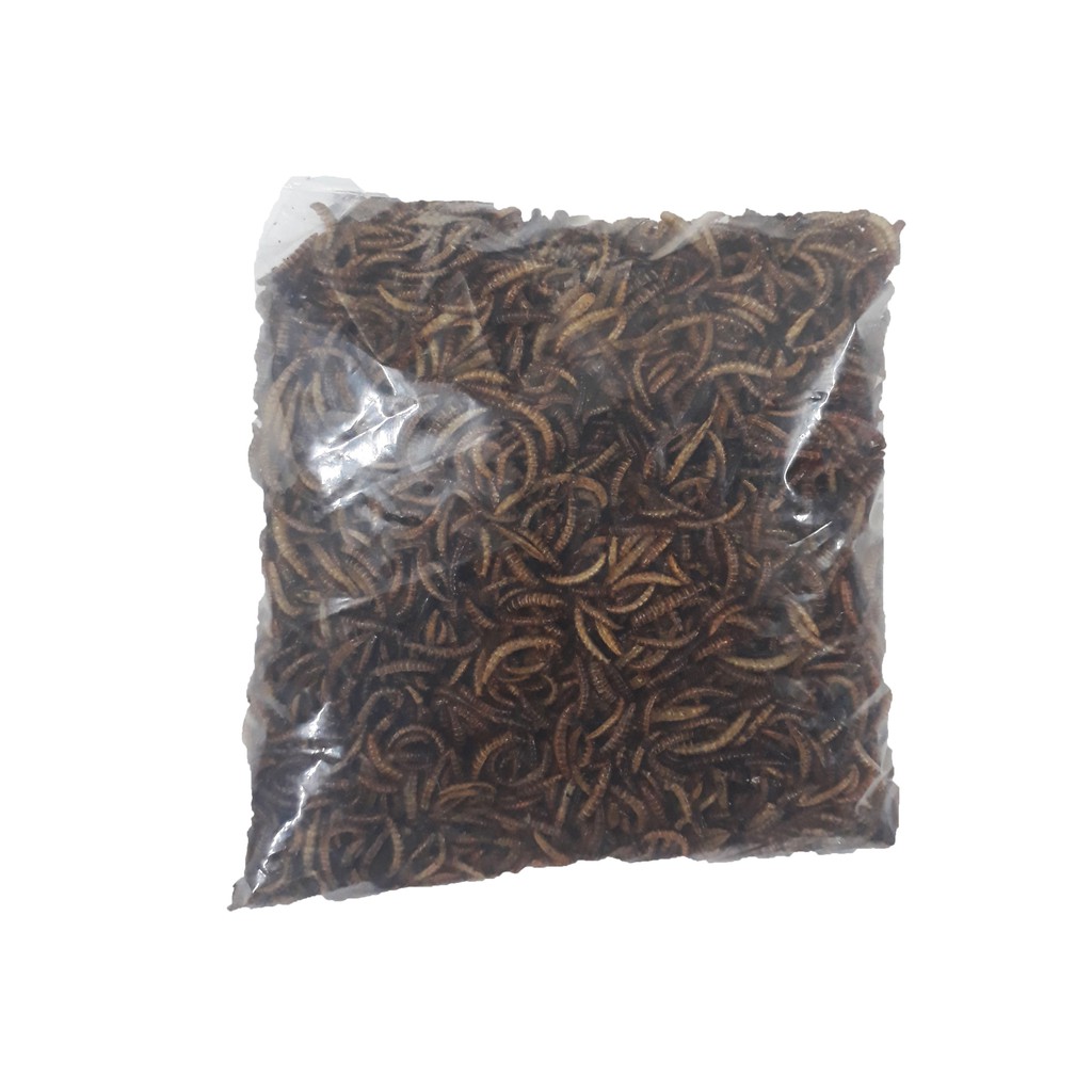 Sâu Khô Cho Chim, Hamster Ăn 25g - Sâu Khô Cho Gà, Trộn Chung Với Cám - Thức Ăn Chim, Hamster [SÂU KHÔ]