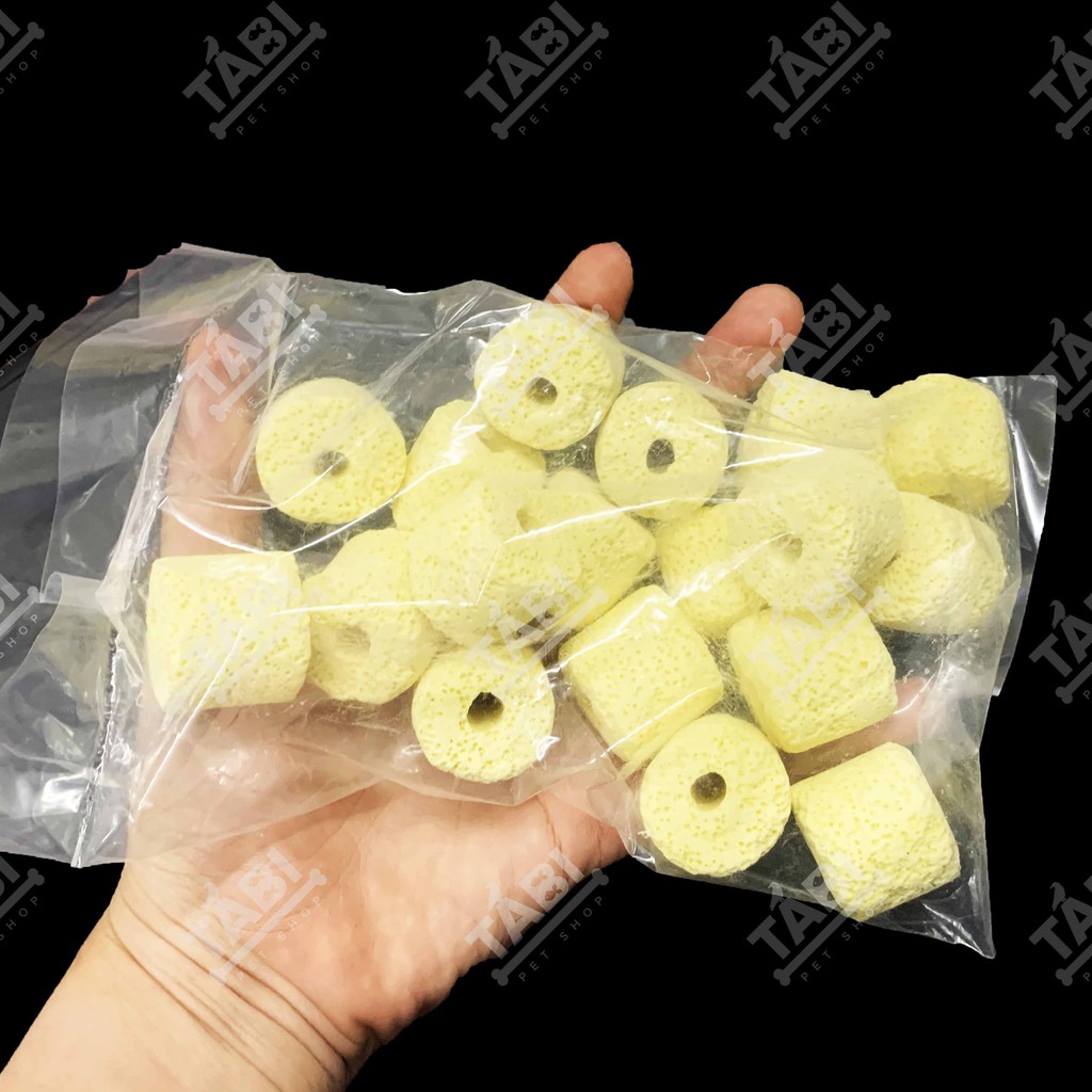 Sứ Lọc, Sứ Nhẫn Lỗ, Sứ Đỏ, Sứ Hoa Mai Cho Hồ Cá Thuỷ Sinh
