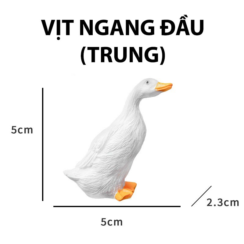 Tiểu Cảnh Vịt (SIZE TRUNG) Trang Trí Hồ Cá, Bể Cá Thuỷ Sinh [VỊT TRUNG]