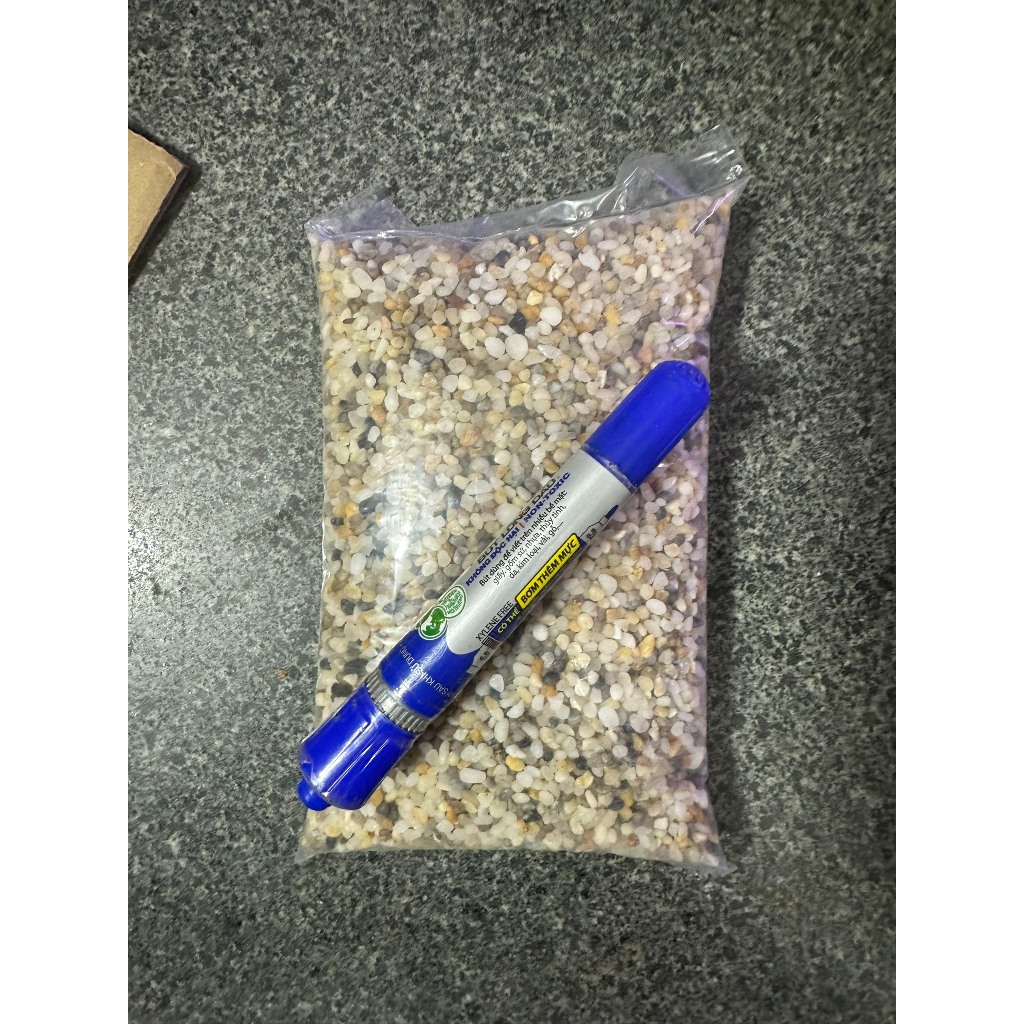 1kg Sỏi Biển Thiên Nhiên Trang Trí Hồ Cá, Lót Chậu, Sân Vườn Thủy Sinh [SỎI BIỂN]