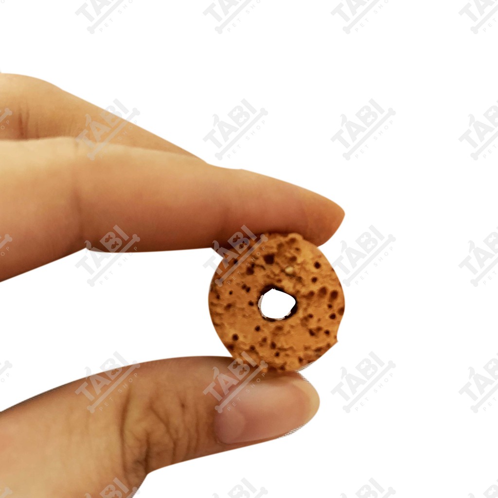 Sứ Lọc, Sứ Nhẫn Lỗ, Sứ Đỏ, Sứ Hoa Mai Cho Hồ Cá Thuỷ Sinh