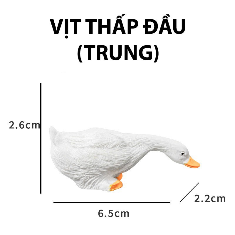 Tiểu Cảnh Vịt (SIZE TRUNG) Trang Trí Hồ Cá, Bể Cá Thuỷ Sinh [VỊT TRUNG]