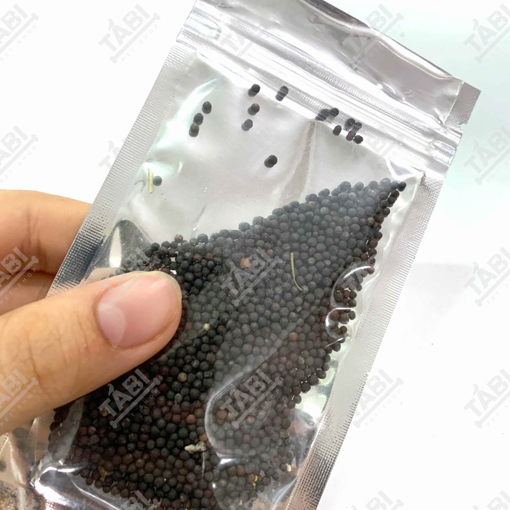 Hạt giống thủy sinh cho hồ cá - Hạt giống trân châu, có trái tim, cỏ may mắn, ngưu mao chiên 10G/ Túi
