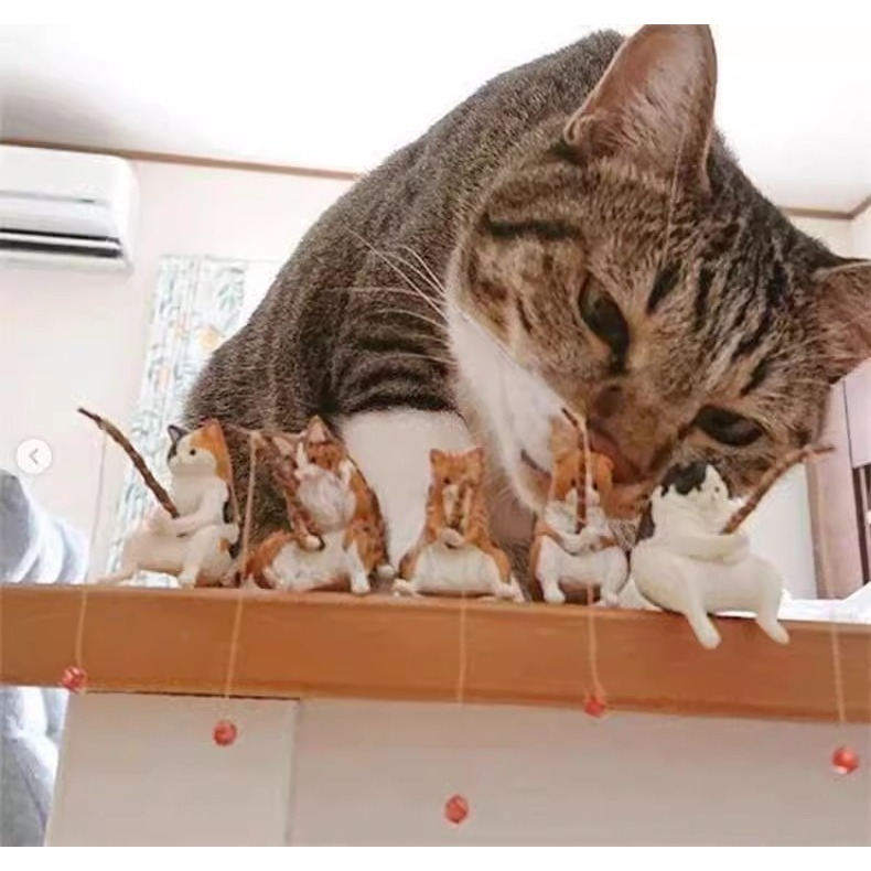 Mèo Câu Cá Ngồi, Mèo Nằm Thành Hồ - Tiểu Cảnh Trang Trí Hồ Cá, Bể Cá Thủy Sinh Xinh Đẹp
