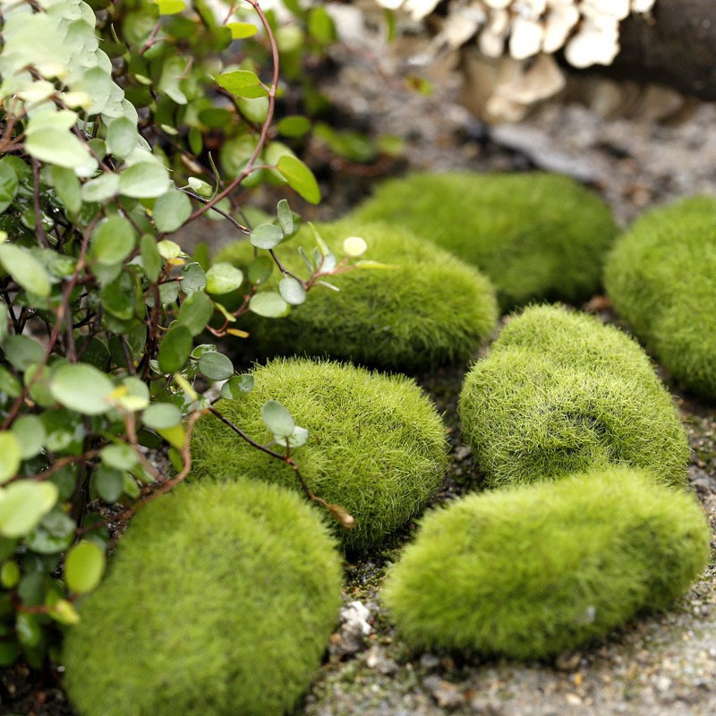 Đá Rêu Giả Bằng Xốp Trang Trí Trang Trí Hồ Cá, Bể Cá, Chậu Cây, Tiểu Cảnh Terrarium [ĐÁ RÊU GIẢ]