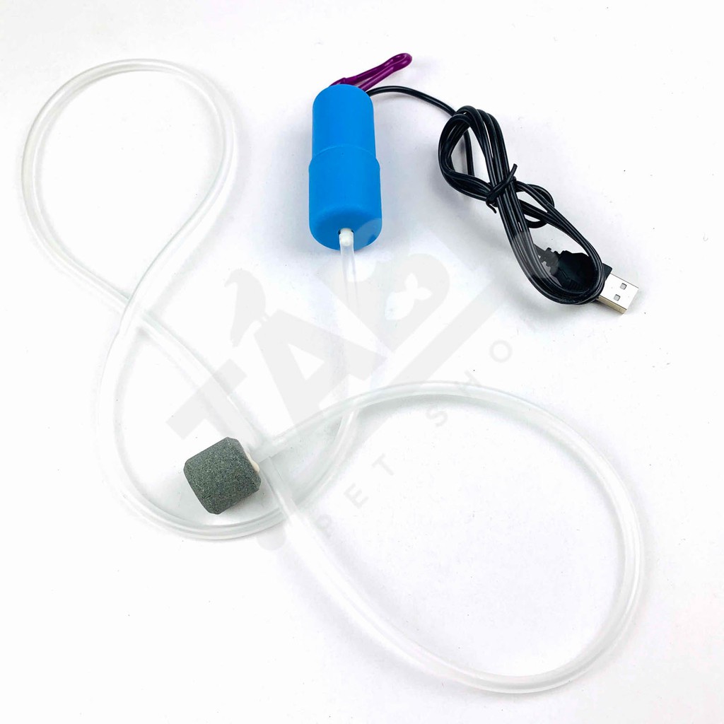 Máy Sủi Oxy Mini Kết Nối USB - Sục Khí Oxi Cho Bể Cá Cảnh Siêu Êm Và Nhẹ [SỦI USB]