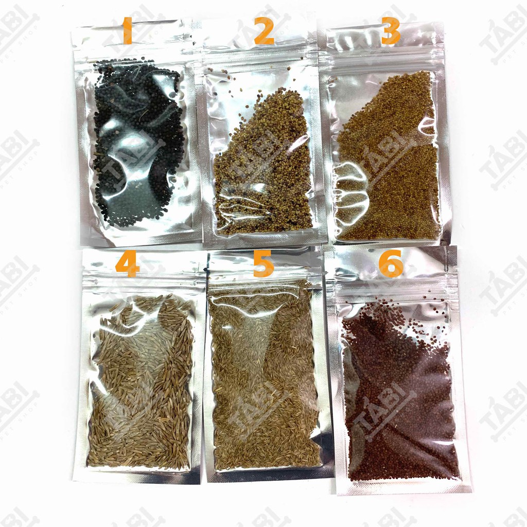 Hạt giống thủy sinh cho hồ cá - Hạt giống trân châu, có trái tim, cỏ may mắn, ngưu mao chiên 10G/ Túi