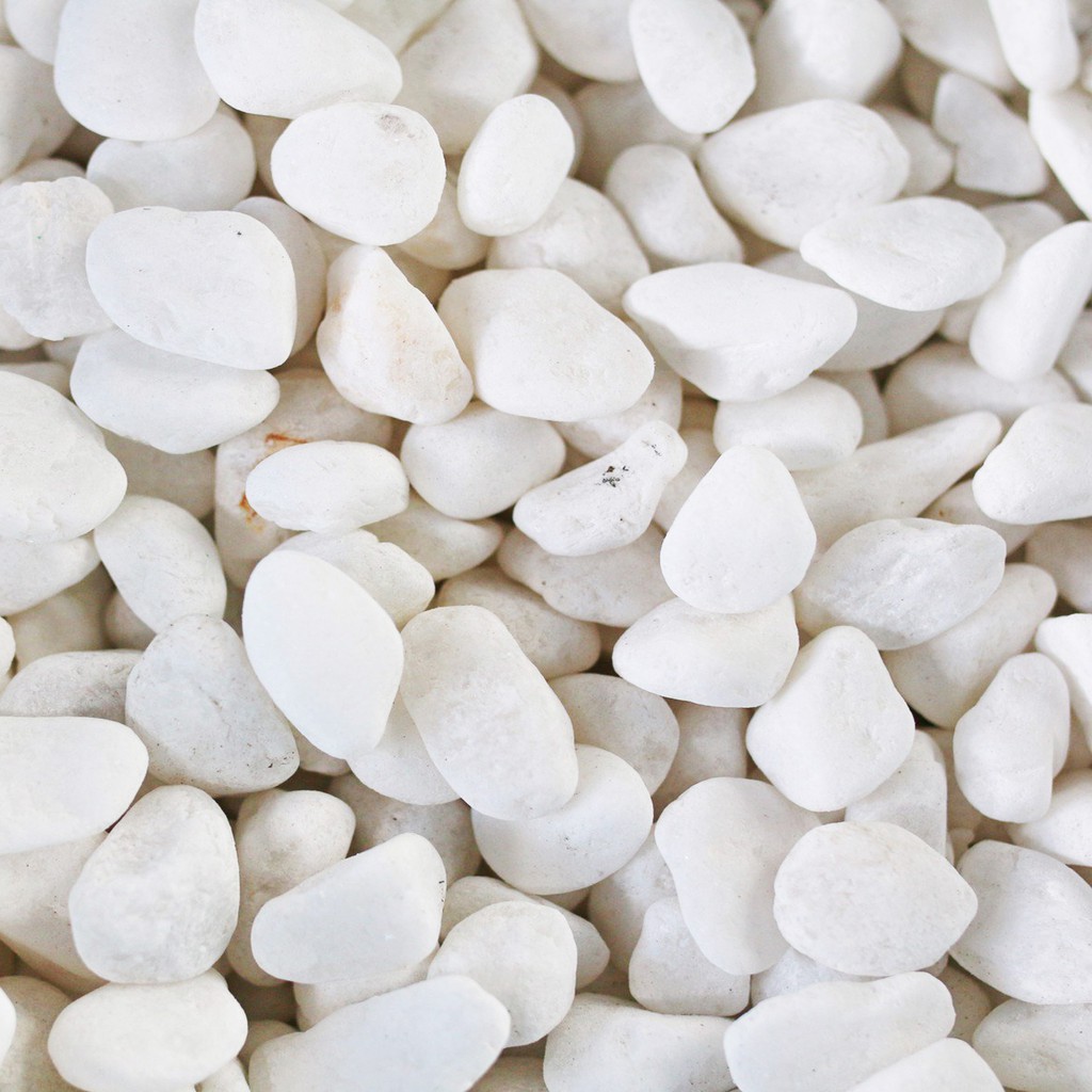 Bịch Sỏi Trắng Viên Vừa 1kg Trang Trí Hồ Cá - Phụ Kiện Bể Cá [SỎI TRẮNG VỪA]