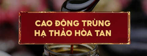 Banner 4