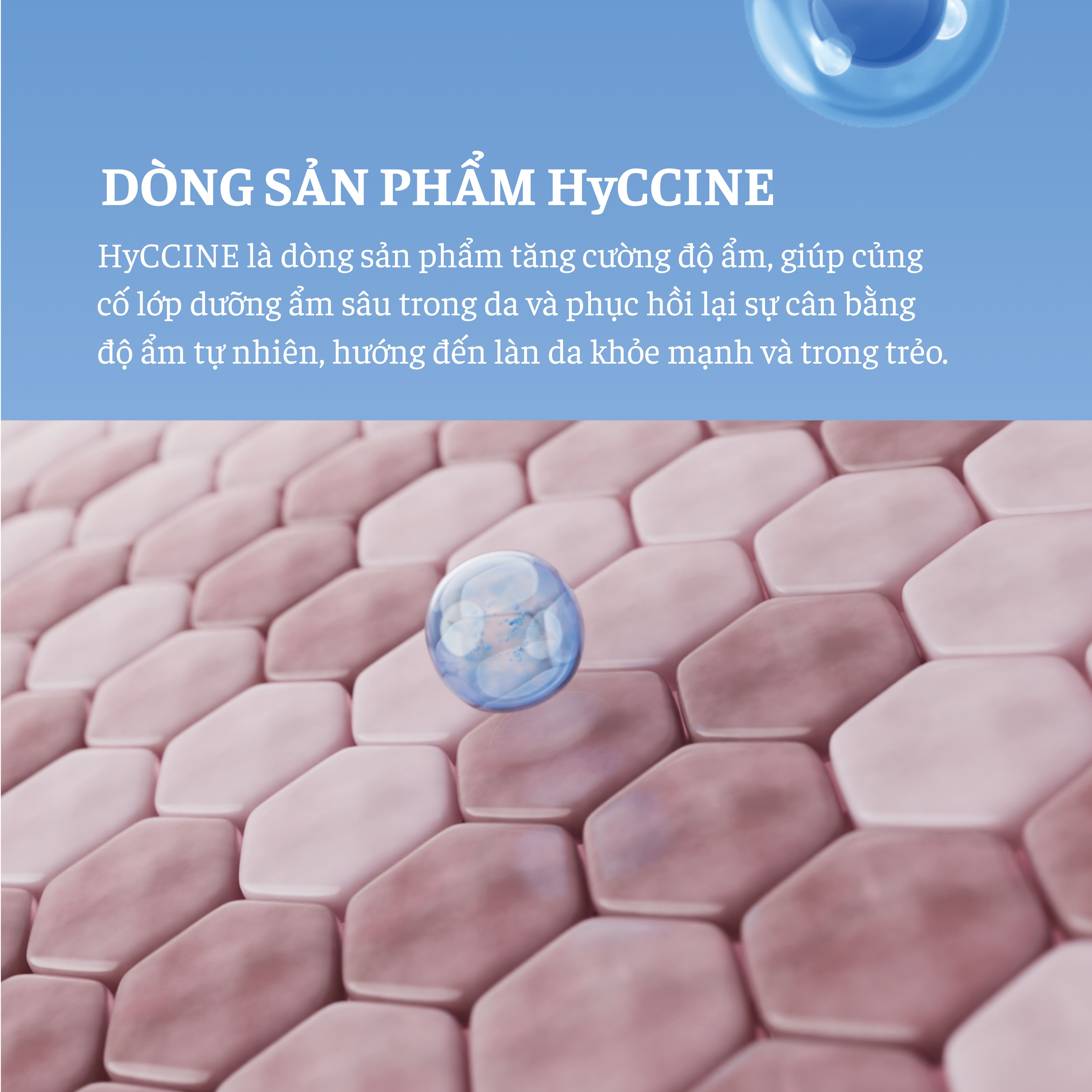 Pad dưỡng ẩm, phục hồi, tẩy da chết dịu nhẹ cho da nhạy cảm HYCCINE HYONIC FILM PAD