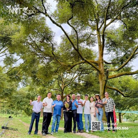 NNT Food tổ chức hành trình tham quan Malaysia khảo sát chuỗi sầu riêng