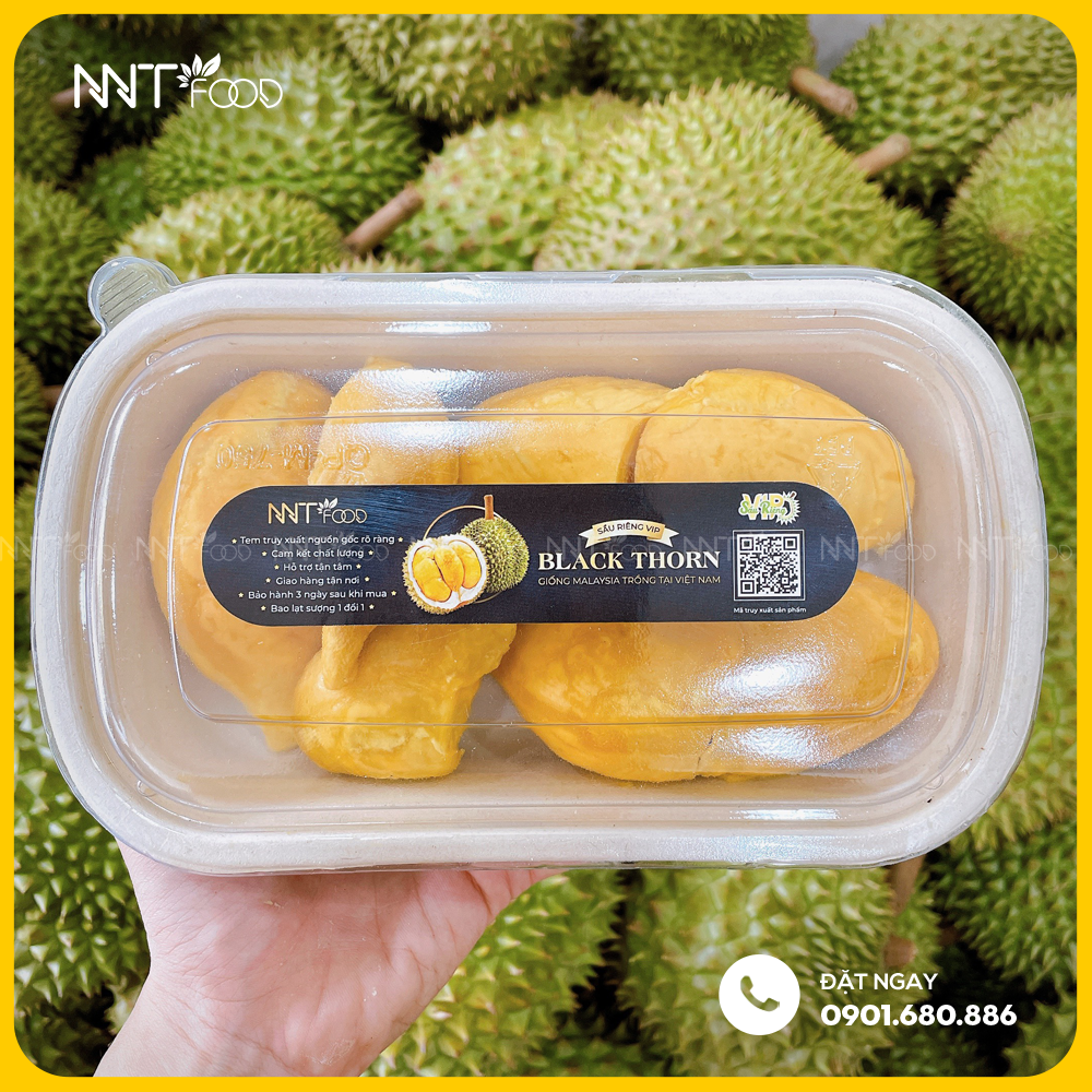 SẦU RIÊNG GAI ĐEN BLACK THORN