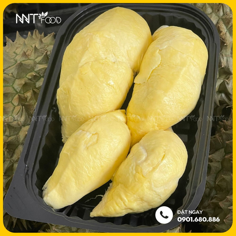 SẦU RIÊNG SỮA CHÍN HOÁ