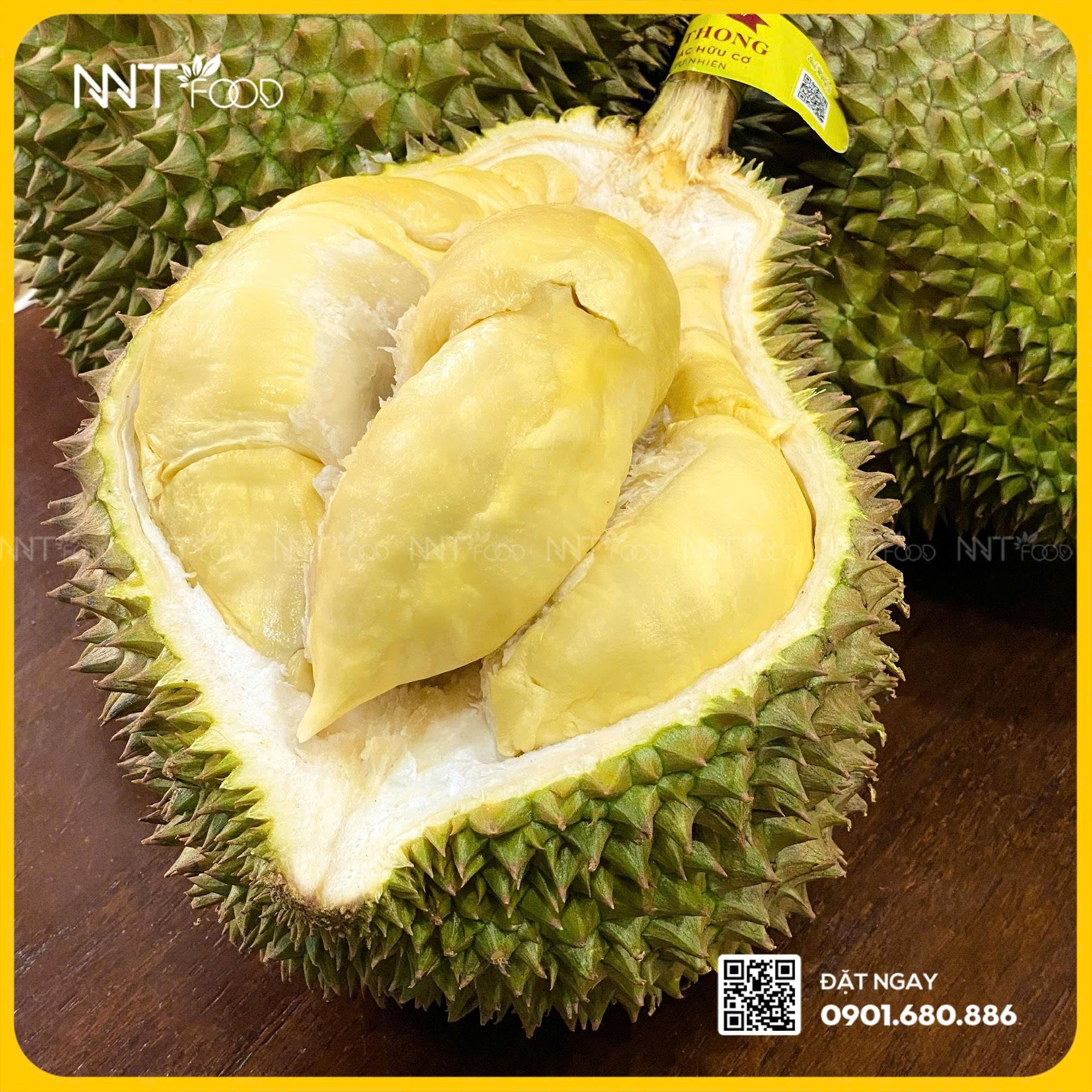 SẦU RIÊNG MONTHONG CANH TÁC CHUẨN HỮU CƠ