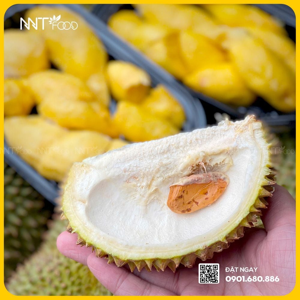 SẦU RIÊNG KRADUM THONG