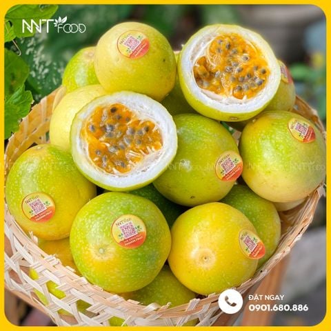 CHANH DÂY MẬT ONG