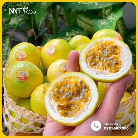 CHANH DÂY MẬT ONG