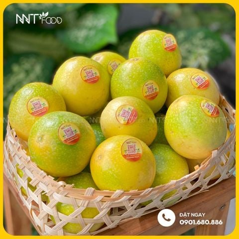 CHANH DÂY MẬT ONG