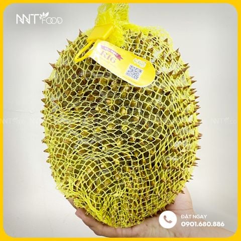 SẦU RIÊNG RI 6 CẤP ĐÔNG NGUYÊN TRÁI