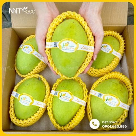 XOÀI CÁT HÒA LỘC