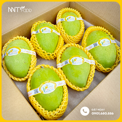 XOÀI CÁT HÒA LỘC