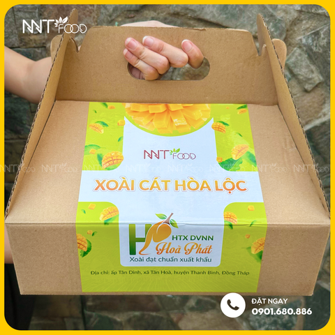 XOÀI CÁT HÒA LỘC