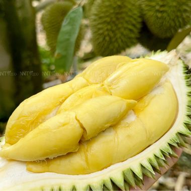 VỀ CHÚNG TÔI