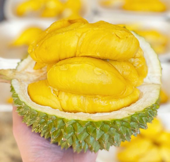 Chị Khánh Dung