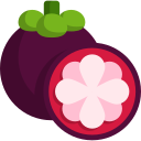 TRÁI CÂY CHẾ BIÊN