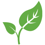 TỰ NHIÊN - AN TOÀN