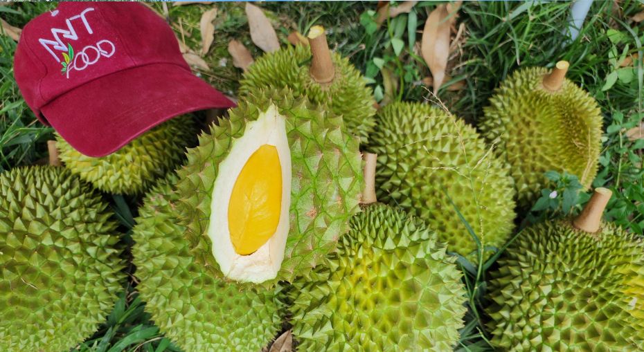 Hoạt động 1