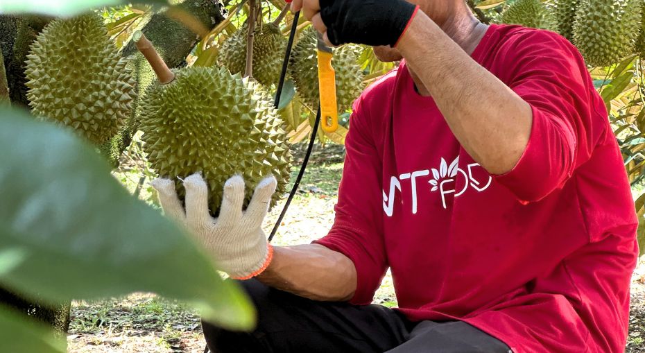 Hoạt động 2