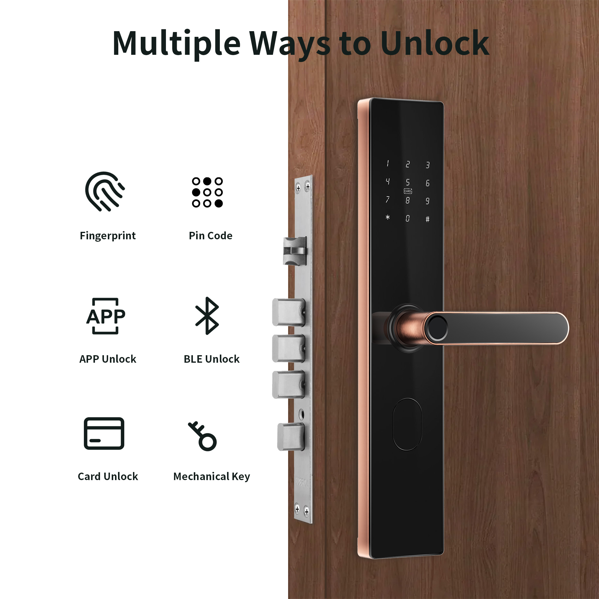 Khóa cửa thông minh vân tay phối kim loại cho cửa chính hiện đại Locktek F18-TTlock