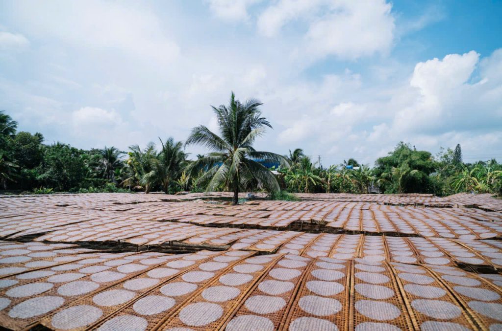 Hành trình về làng nghề Bánh tráng Mỹ Lồng – Trải nghiệm một hương vị quê không thể quên