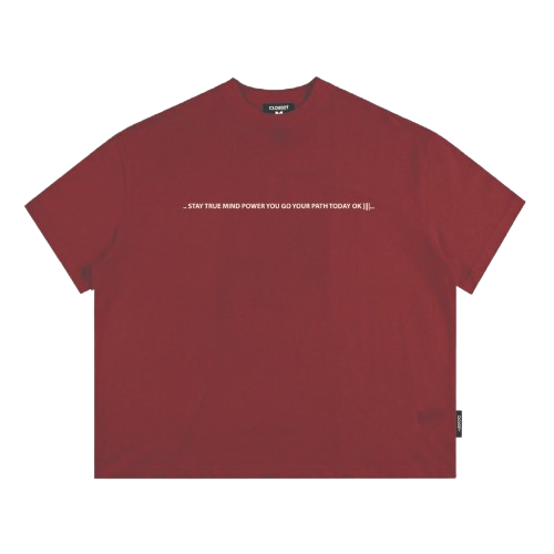 [NEW] Áo thun boxy CLOUDZY in chữ 100% cotton 250gsm dày dặn áo phông form rộng nam nữ unisex local brand TRUE