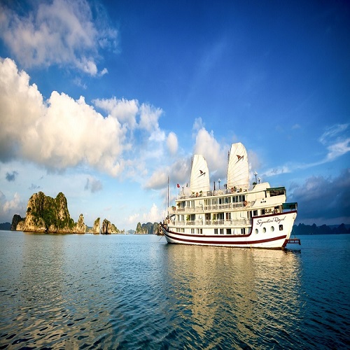 Du thuyền Signature Hạ Long Cruise