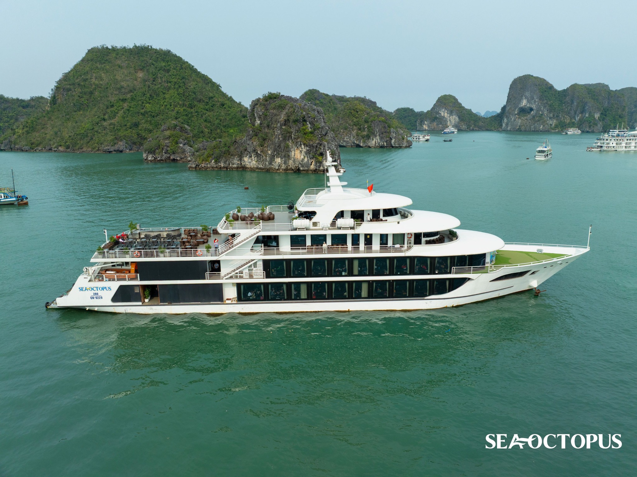 Thuê trọn du thuyền trong ngày Sea Octopus tổ chức sự kiện