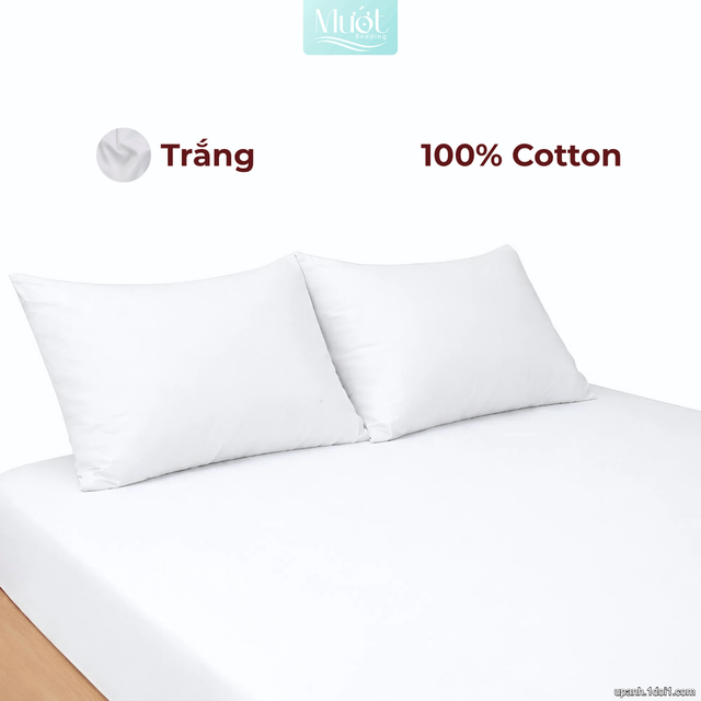 Bộ ga gối lụa Cotton Satin trơn màu - Mướt Bedding, bộ 3 món cao cấp Trắng 2m2x2m (Dày 13-22cm)