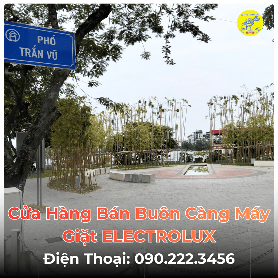Cửa Hàng Bán Buôn Càng Máy Giặt ELECTROLUX Tại Phố Trấn Vũ
