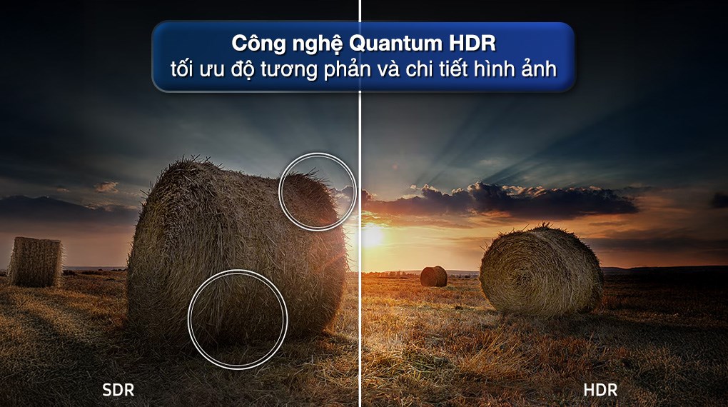 Smart Tivi Khung Tranh The Frame QLED Samsung AI 4K 65 inch QA65LS03F