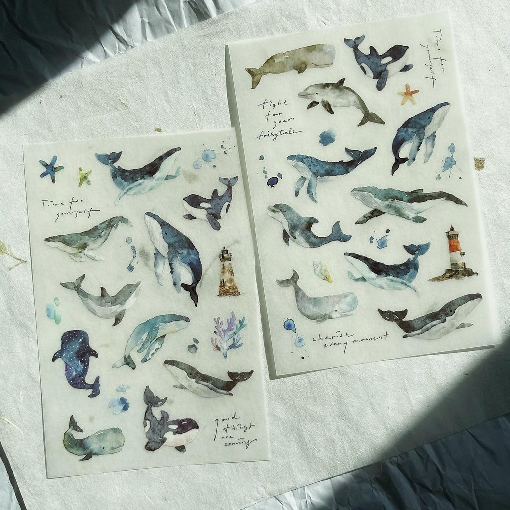 Print-on stickers hãng Pion