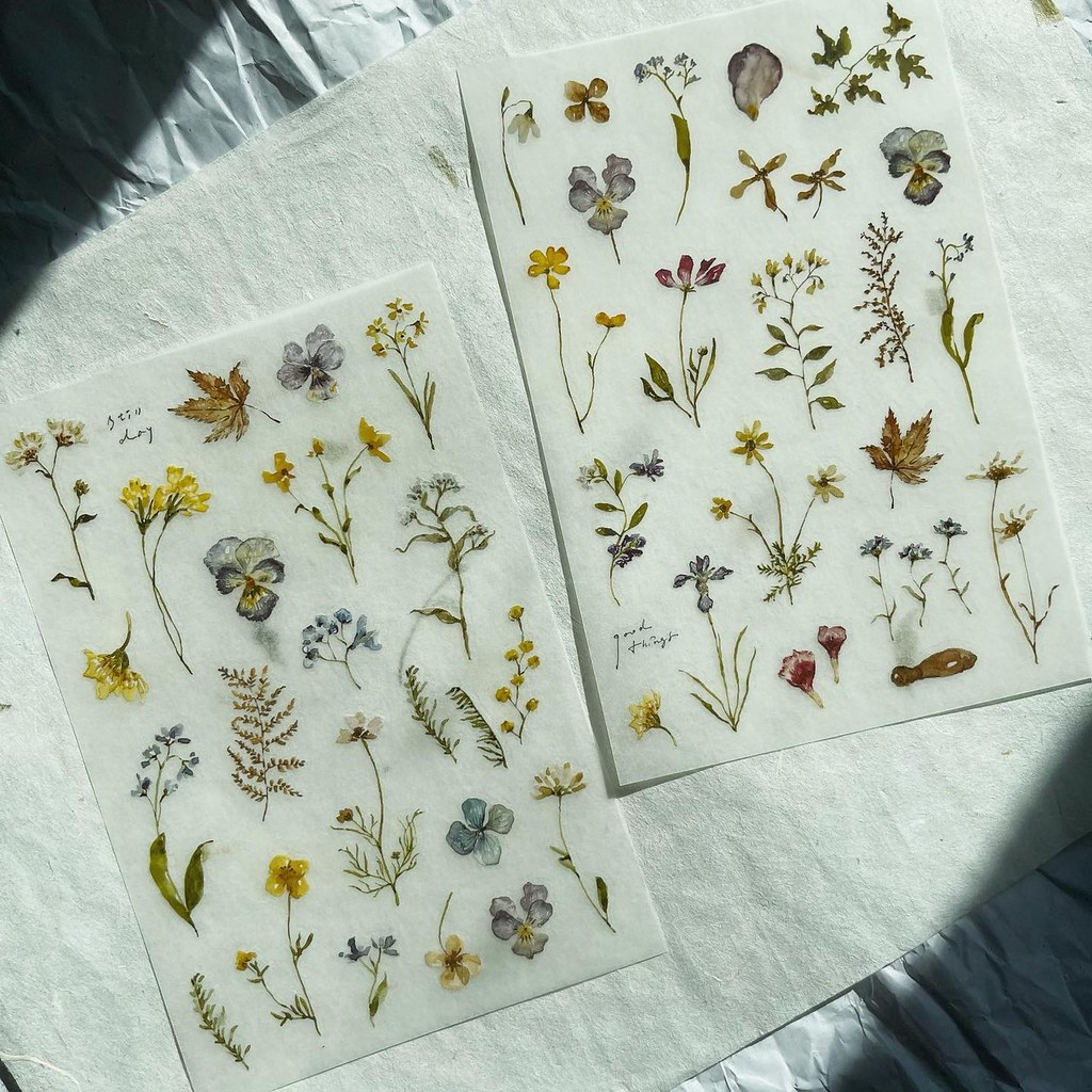 Print-on stickers hãng Pion