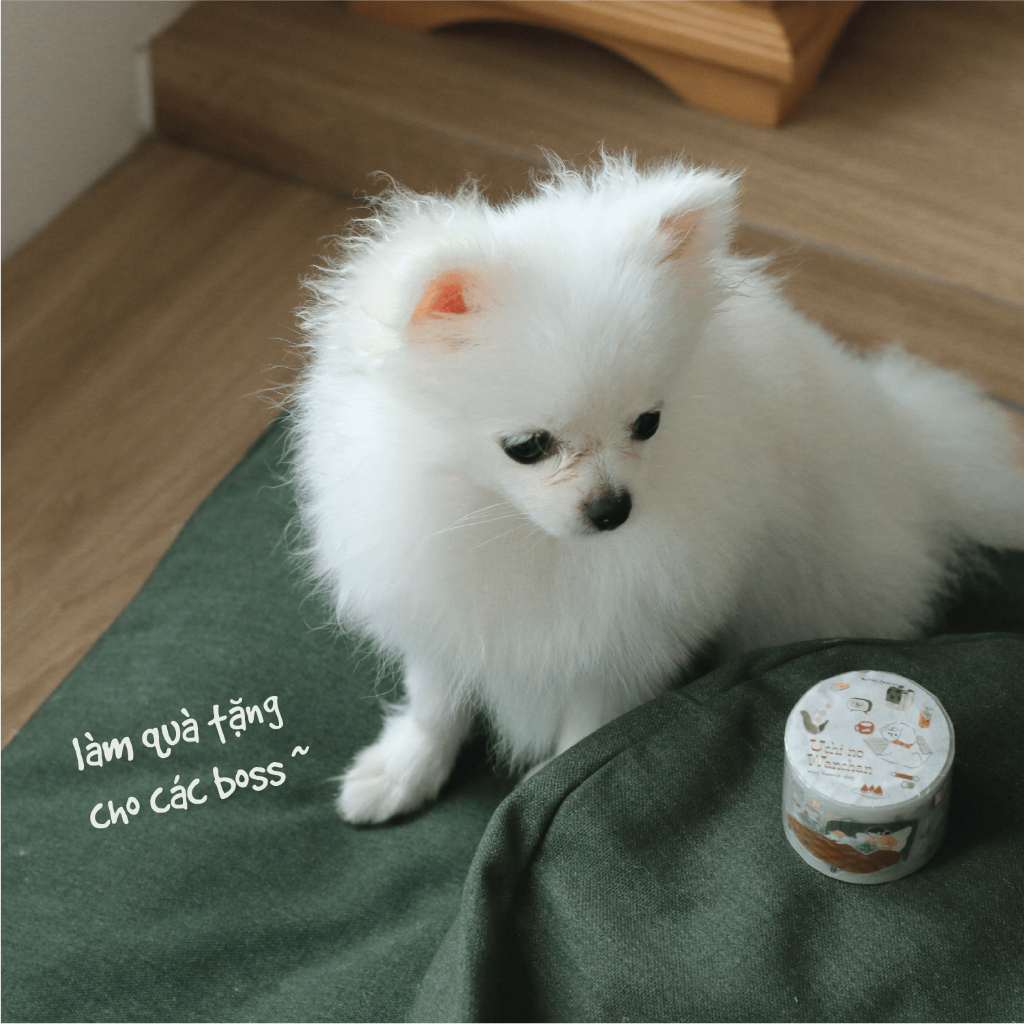 Stickers PET bế sẵn 'Uchi no Wanchan' by teayoushop