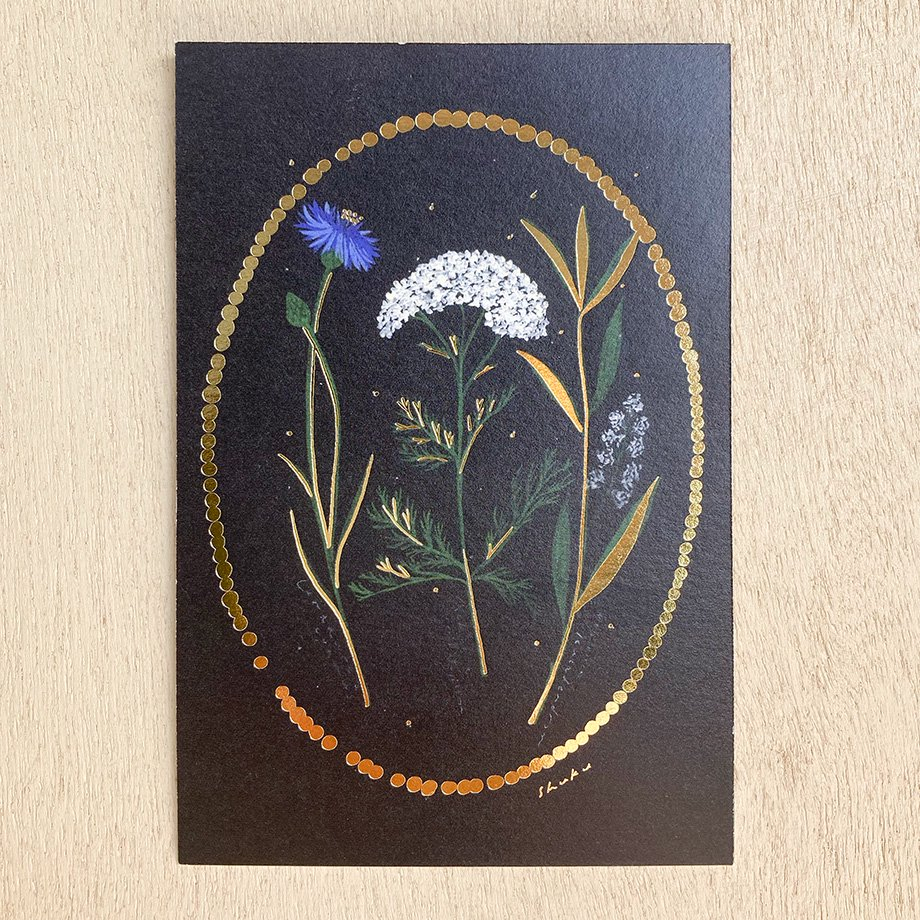 Các mẫu bưu thiếp Nhật Bản | chính hãng Cozyca