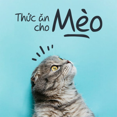 banner_group_2_3.jpg